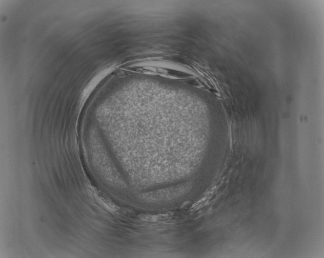 X0000074210147200609151605