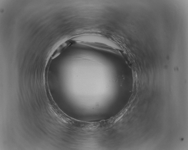 X0000074210148200609151605