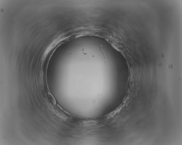 X0000074210150200609151605