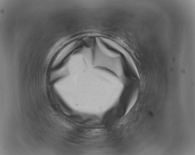 X0000074210151200609151605