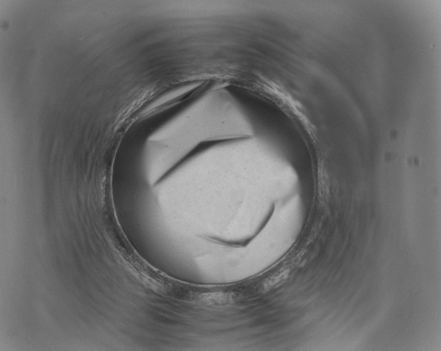 X0000074210153200609151605