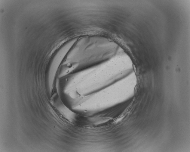 X0000074210154200609151605