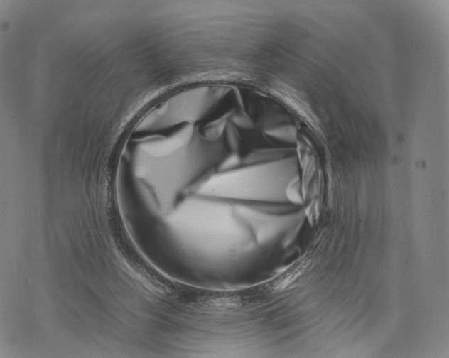 X0000074210156200609151605