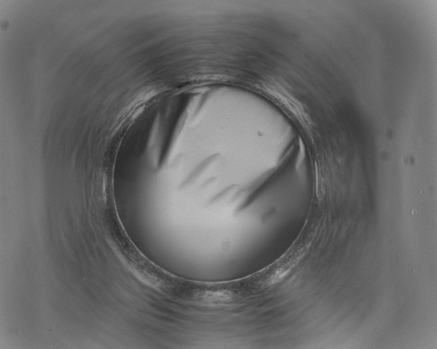 X0000074210157200609151605