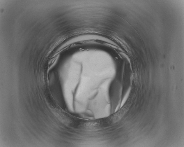 X0000074210158200609151605