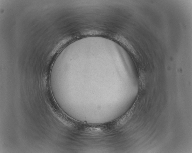 X0000074210159200609151605