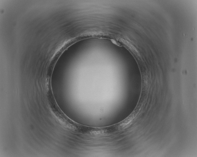 X0000074210160200609151605