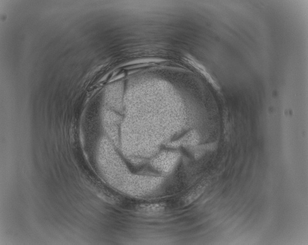 X0000074210161200609151605