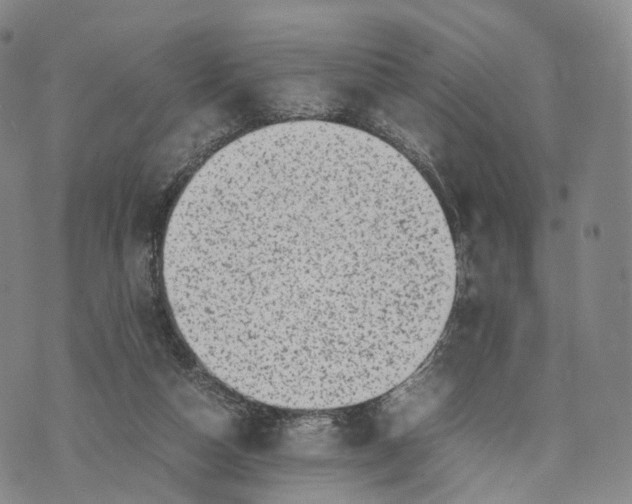 X0000074210162200609151605