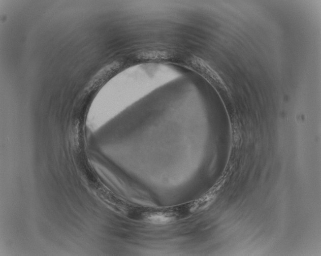 X0000074210163200609151605