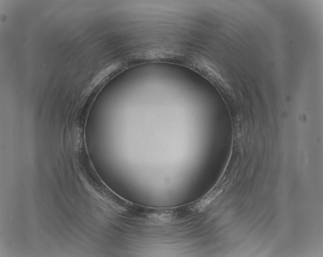 X0000074210164200609151605