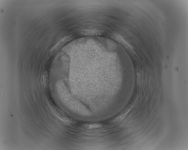 X0000074210165200609151605