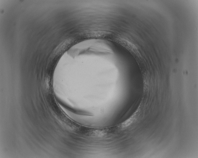 X0000074210166200609151605