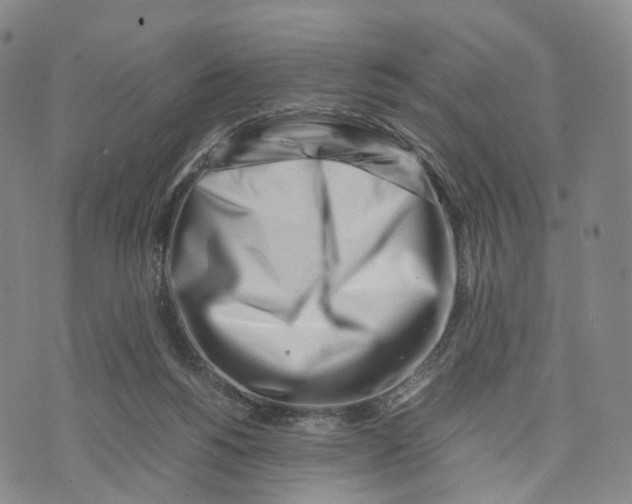 X0000074210168200609151605