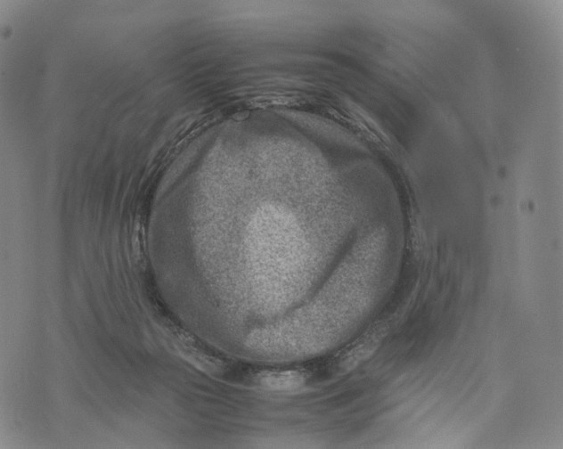 X0000074210169200609151605