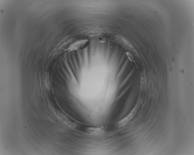 X0000074210170200609151605