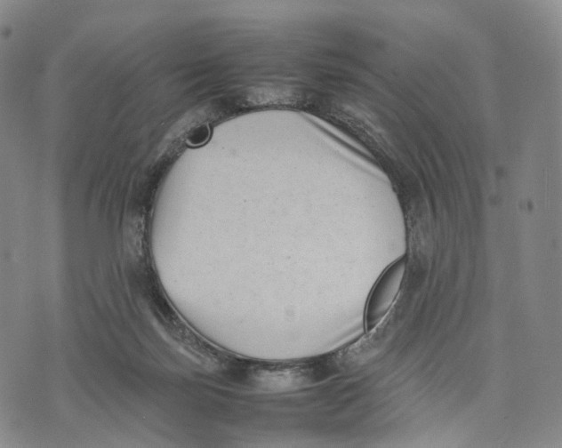 X0000074210171200609151605