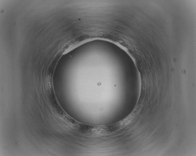 X0000074210172200609151605