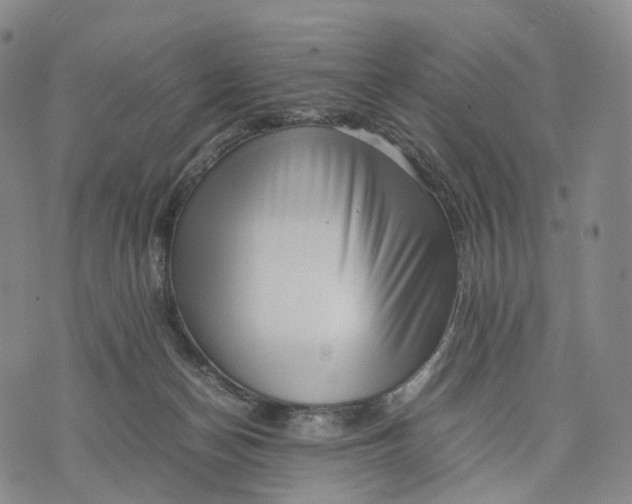 X0000074210174200609151605