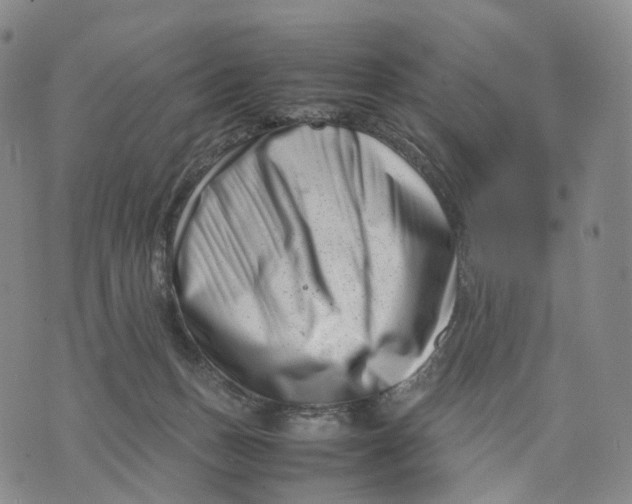 X0000074210175200609151605