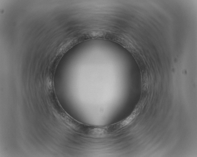 X0000074210176200609151605