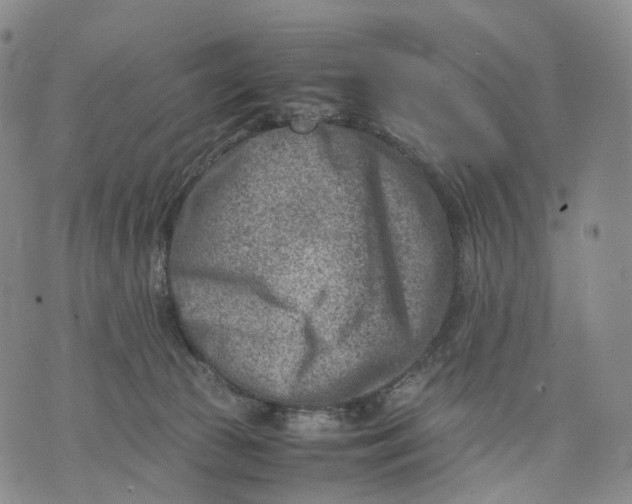 X0000074210177200609151605