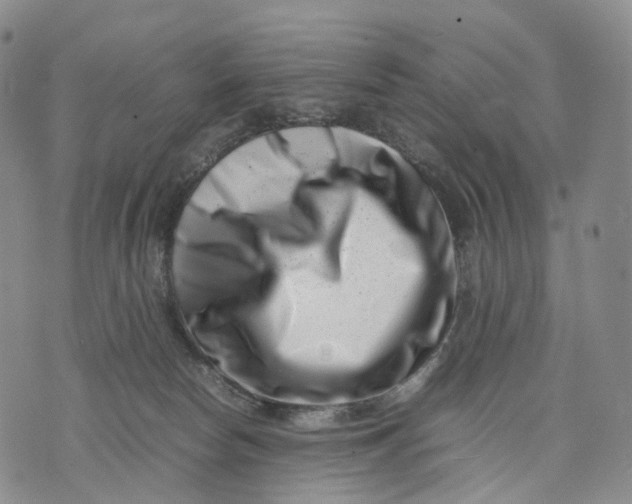 X0000074210178200609151605