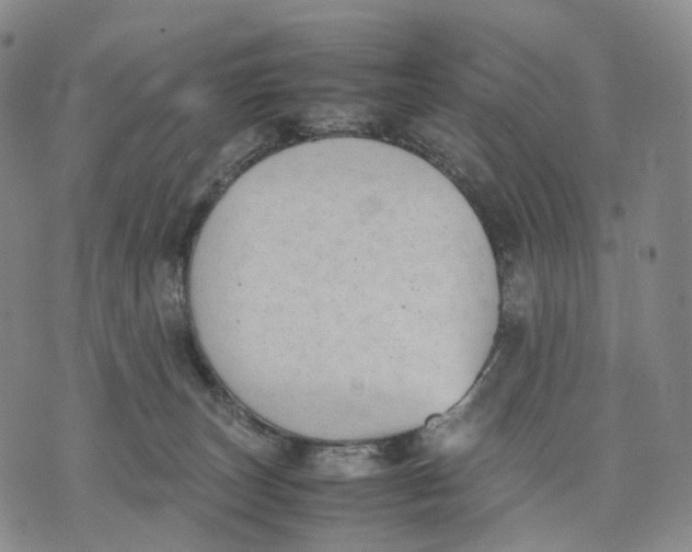 X0000074210179200609151605