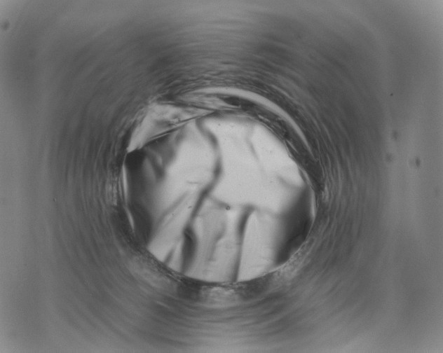 X0000074210180200609151605