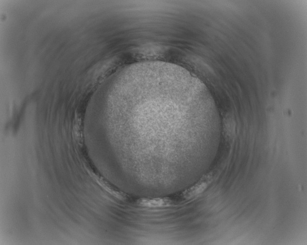 X0000074210181200609151605