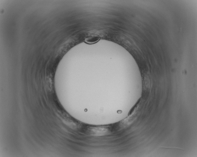 X0000074210183200609151605