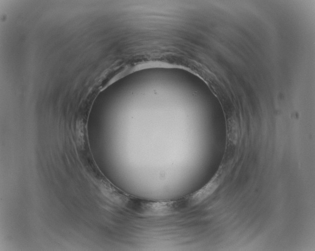 X0000074210184200609151605