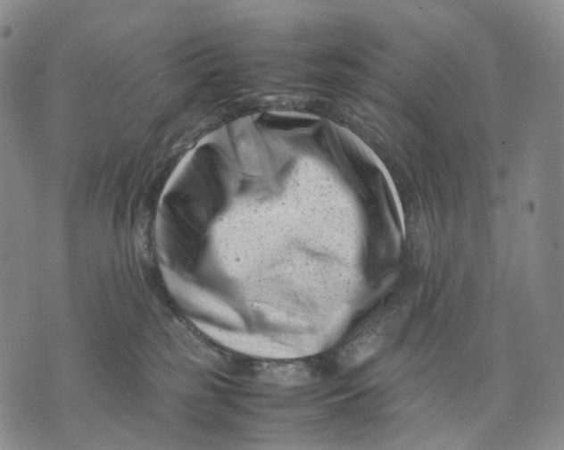 X0000074210185200609151605