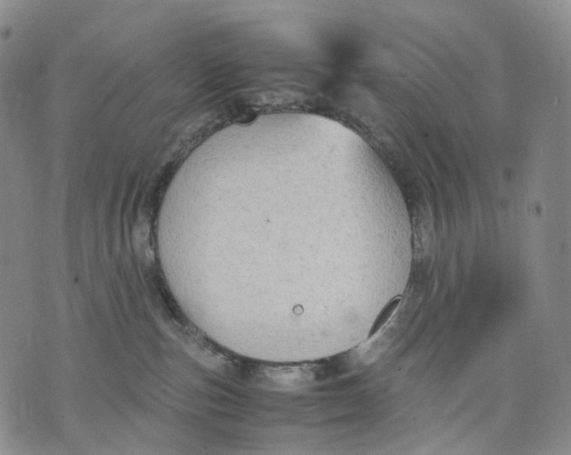 X0000074210187200609151605