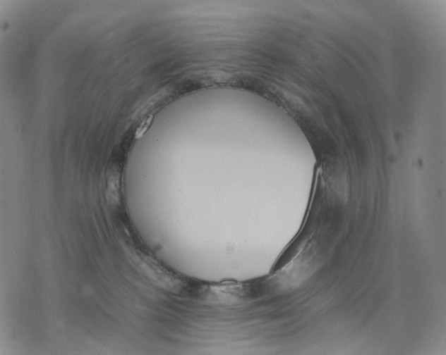 X0000074210188200609151605