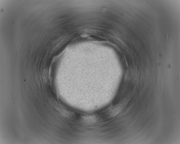 X0000074210189200609151605