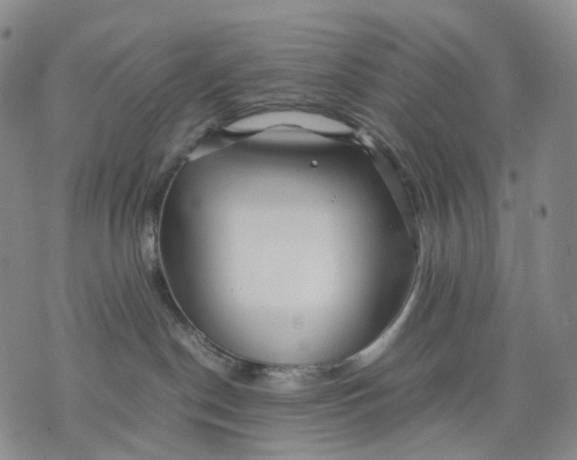 X0000074210190200609151605