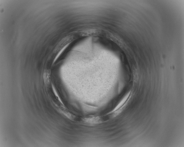 X0000074210191200609151605