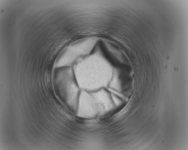 X0000074210192200609151605