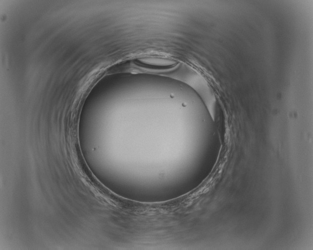 X0000074210193200609151605