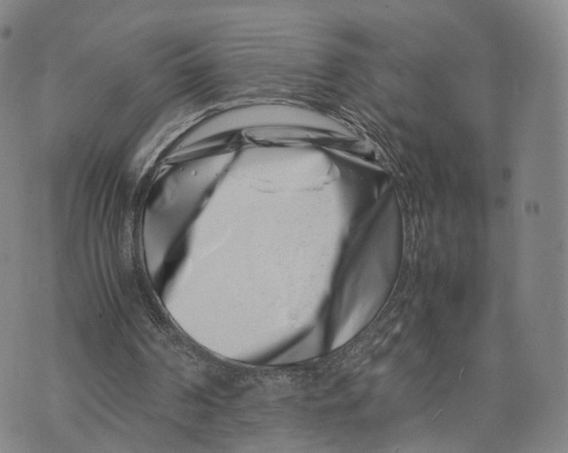 X0000074210194200609151605