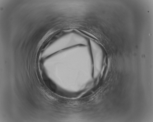 X0000074210195200609151605