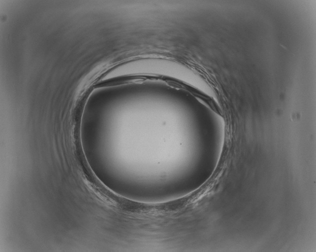 X0000074210197200609151605