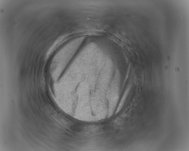 X0000074210198200609151605