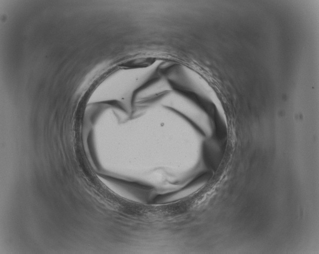 X0000074210199200609151605