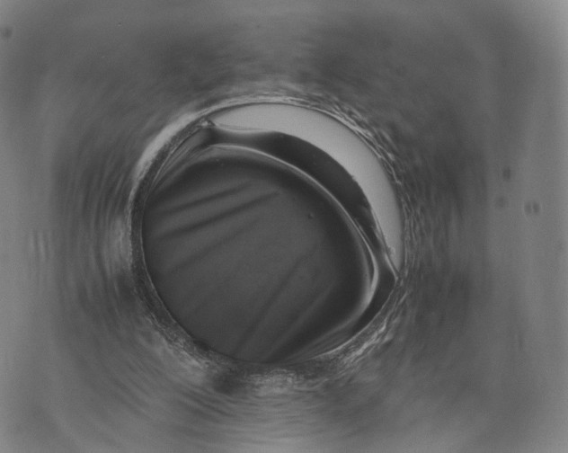 X0000074210200200609151605