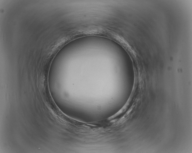 X0000074210201200609151605