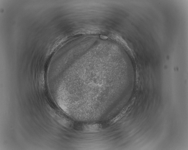 X0000074210202200609151604