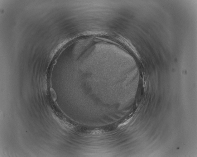 X0000074210204200609151604