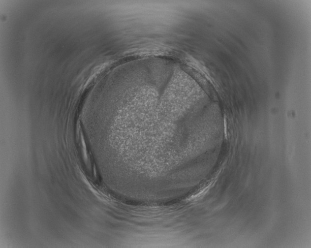 X0000074210205200609151604